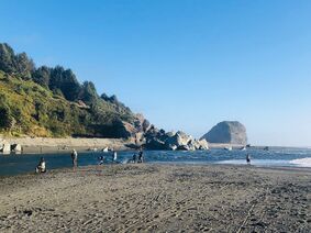 beach line with mountains in the background
